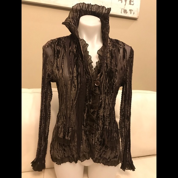 Alison Sheri Chocolate Velour Blouse - Picture 2 of 7